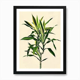 Dracaena Plant Minimalist Illustration 5 Art Print