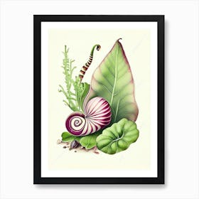 Banded Snail  Botanical Art Print