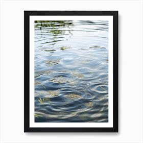 Reflections In The Water Art Print