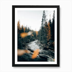 Wild rivers and forests Art Print