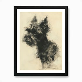 Pumi Dog Charcoal Line Art Print