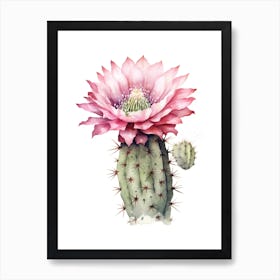 Gymnocalycium Cactus Watercolour Drawing 4 Art Print