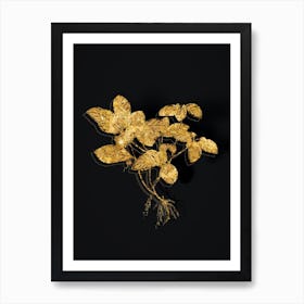 Vintage American Wintergreen Plant Botanical in Gold on Black n.0468 Art Print