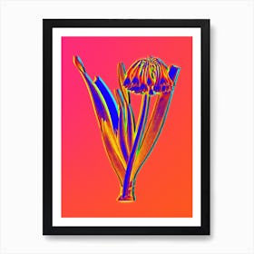 Neon Knysna Lily Botanical in Hot Pink and Electric Blue Art Print