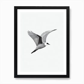 Canada Goose B&W Pencil Drawing 2 Bird Art Print