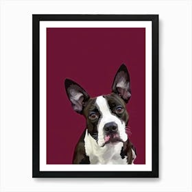 Boston Terrier 2 Art Print