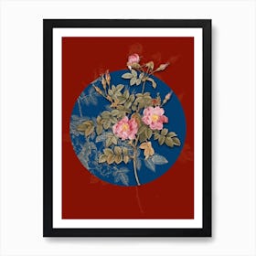 Vintage Botanical Pink Rosebush Bloom on Circle Blue on Red n.0305 Art Print