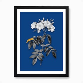 Vintage Musk Rose Black and White Gold Leaf Floral Art on Midnight Blue n.0478 Art Print
