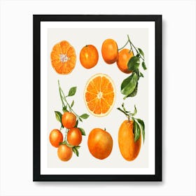 Oranges Art Print