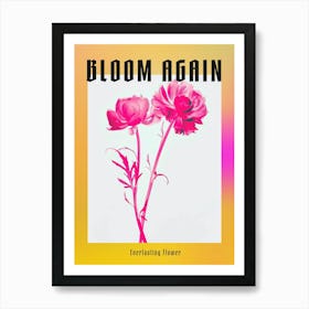 Hot Pink Everlasting Flower 1 Poster Art Print