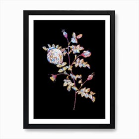 Stained Glass Silver Flowered Hispid Rose Mosaic Botanical Illustration on Black Art Print