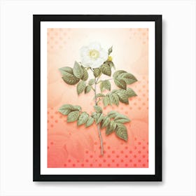 Leschenault's Rose Vintage Botanical in Peach Fuzz Polka Dot Pattern n.0268 Art Print