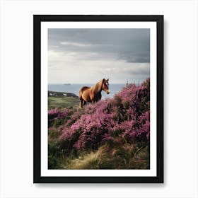 Horse On A Hill Art Print