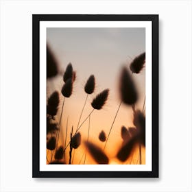 Grasses Dancing Against Sunset Skies Art Print