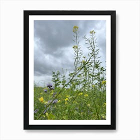 Field Of Wildflowers Art Print