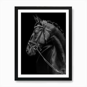 Black Horse Art Print