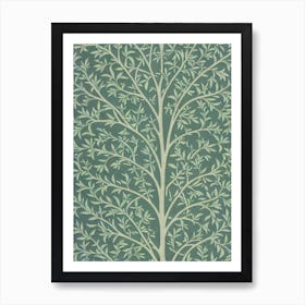 Willow Oak tree Vintage Botanical Art Print