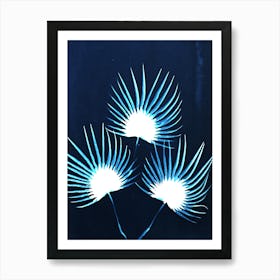 Fan palm blue cyanotype Art Print