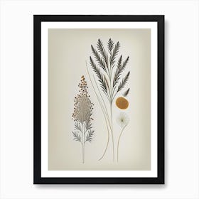 Fennel Seeds Spices And Herbs Retro Minimal 2 Art Print