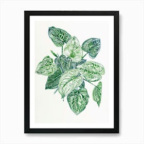 Fittonia Maranta Botanical Line Illustration 4 Art Print