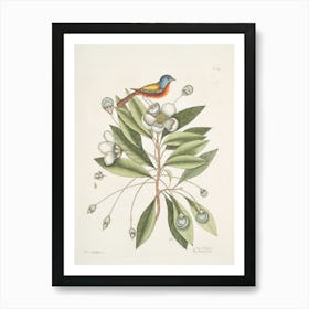 Bird On A Flower Art Print