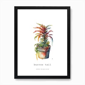 Burros Tail Art Print