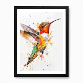 Hummingbird Colourful Watercolour 1 Art Print