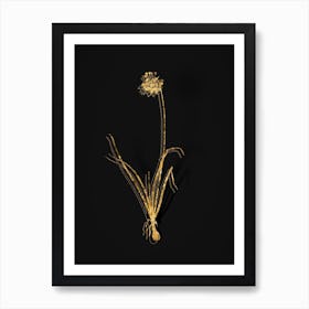 Vintage Nodding Onion Botanical in Gold on Black Art Print