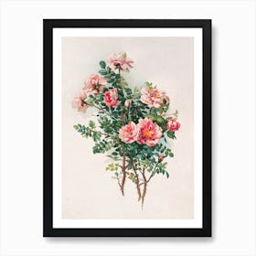 Vintage Roses Art Print