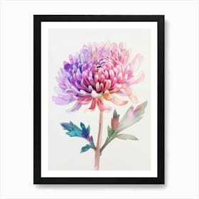 Watercolor Chrysanthemum Art Print