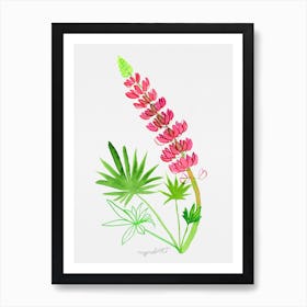 Pink Lupine Watercolor Artwork Art Print