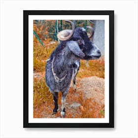Goat With Horns 20180503 15 01rt1ppub Art Print