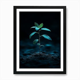 Small Green Plant On Dark Background 5 Art Print