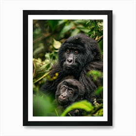 Rwanda Mountain Gorillas 1 Art Print