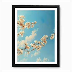 Cherry Blossoms On A Branch Art Print