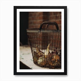 Basket Of Onions Art Print