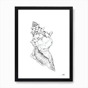 Black and White Sea Shell Art Print