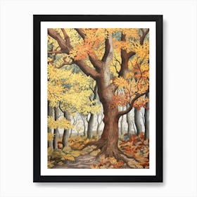 Eastern Cottonwood 3 Vintage Autumn Tree Print  Art Print