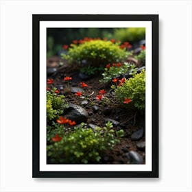 Small Flowers On Rocks Art Print