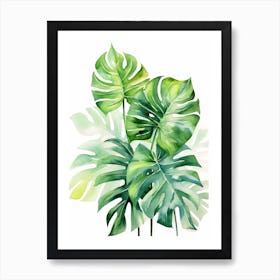 Monstera Leaves 1 Art Print