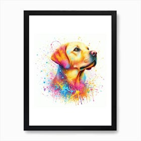 Labrador Retriever Watercolour 1 Art Print
