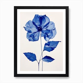 Blue Botanical Poinsettia Art Print