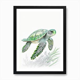 Green Sea Turtle (Chelonia Mydas), Sea Turtle Quentin Blake Illustration 1 Art Print