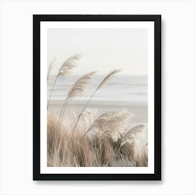 Pampas Grass At The Coast Art Print