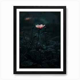 Dark Flower 32 Art Print