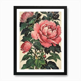 Peony Art Print