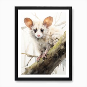 Light Watercolor Painting Of A Greater Glider 1 Art Print