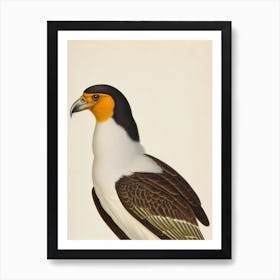 Crested Caracara James Audubon Vintage Style Bird Art Print