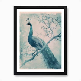 Vintage Blue Tones Peacock Photograph Inspired 1 Art Print