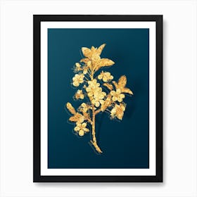 Vintage White Plum Flower Botanical in Gold on Teal Blue n.0307 Art Print